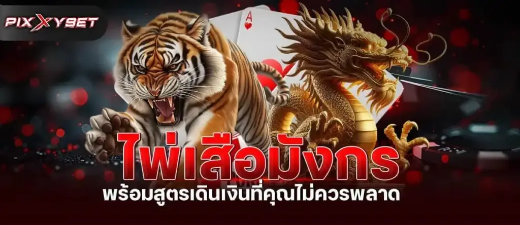 ไพ่เสือมังกร พร้อมสูตรเดินเงินที่คุณไม่ควรพลาด